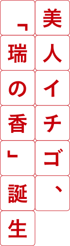 美人イチゴ、「瑞の香」誕生